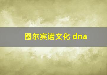 图尔宾诺文化 dna